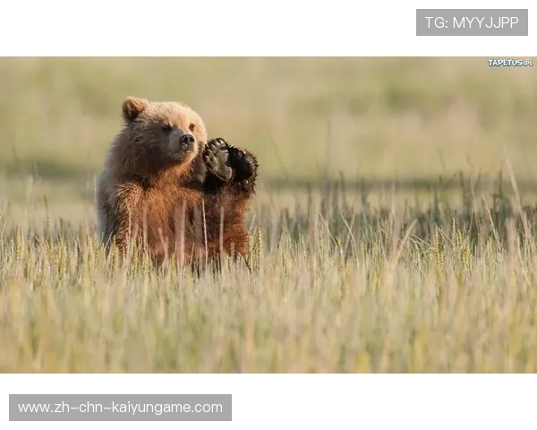 ¦½¦·ÂË-¨-¼-ñÎ¦¦¼¦¼+´ú¼+¬ã¶ð-+³+¥Âß¦+ð-ã¬i-